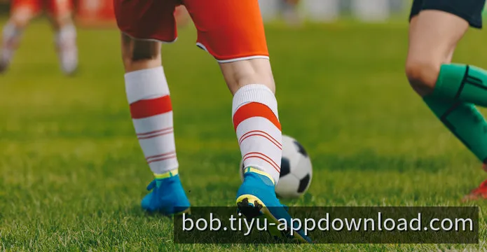 BOB App 官方移动端全平台客户端运行预览