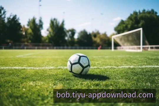 BOB 官方多端接入平台服务界面展示