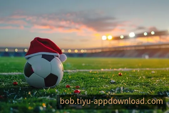 BOB入口与全端数字娱乐视听体验界面